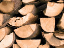 Holz